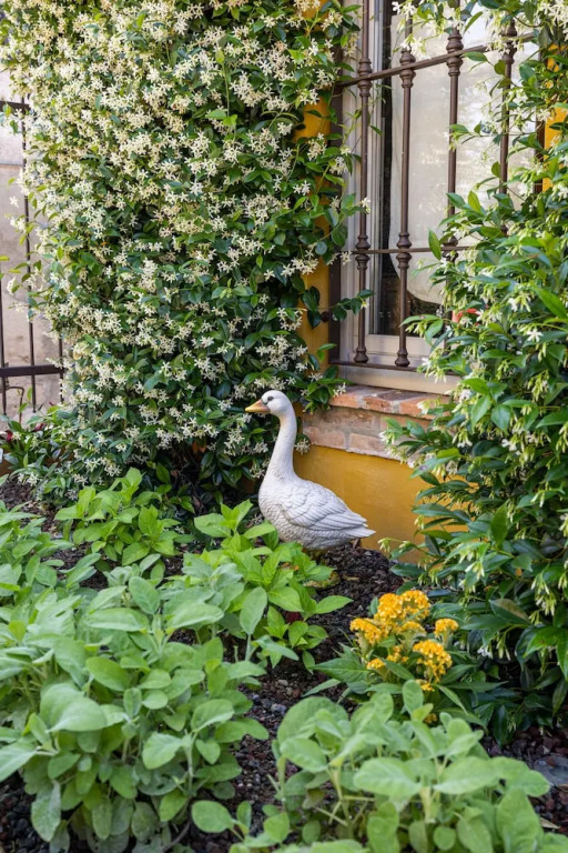 B&B Formigola