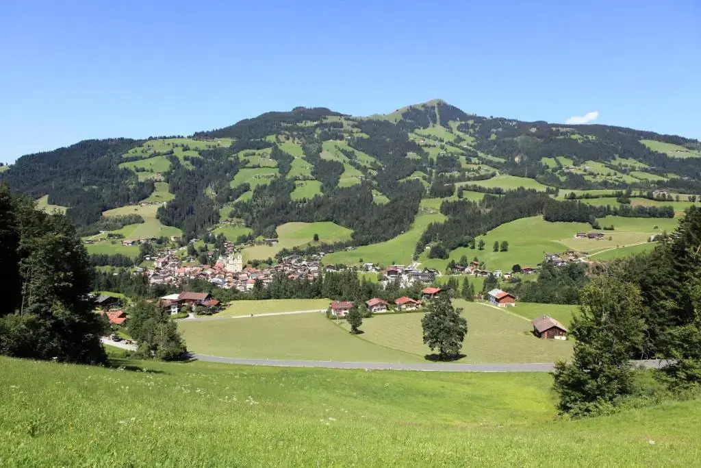Ferienhaus Hinterebenhub