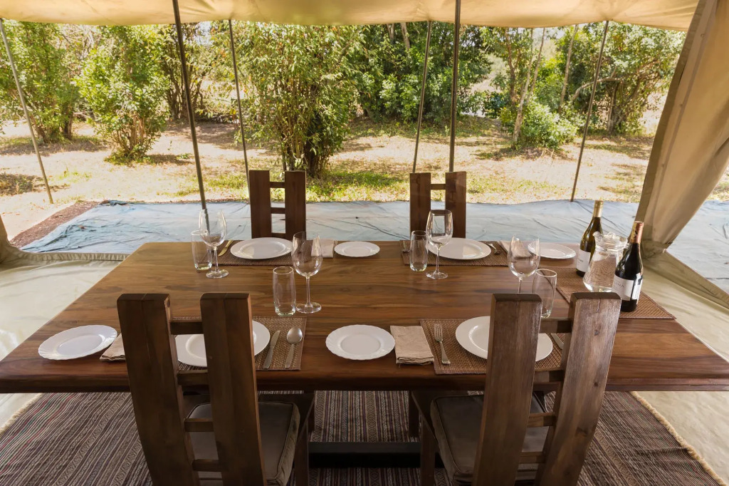 Hammerkop Migration Camp