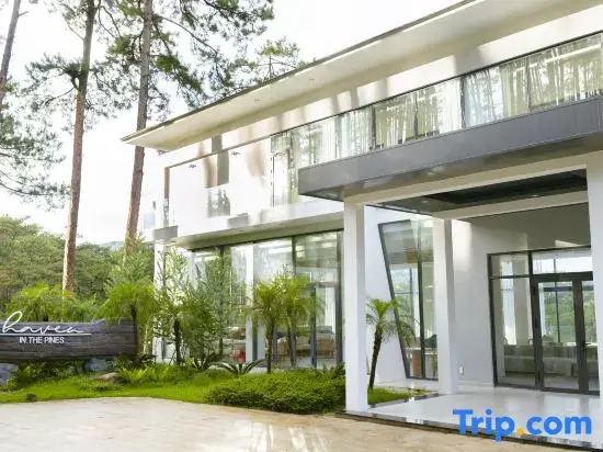 Haven in the Pines