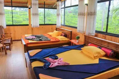 Tea Forest Lodge