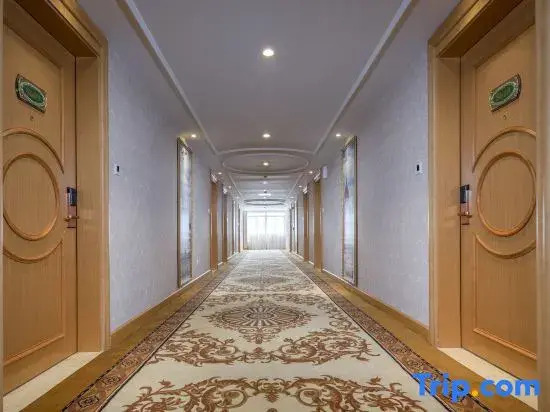 Vienna Hotel (Qidong New Area)