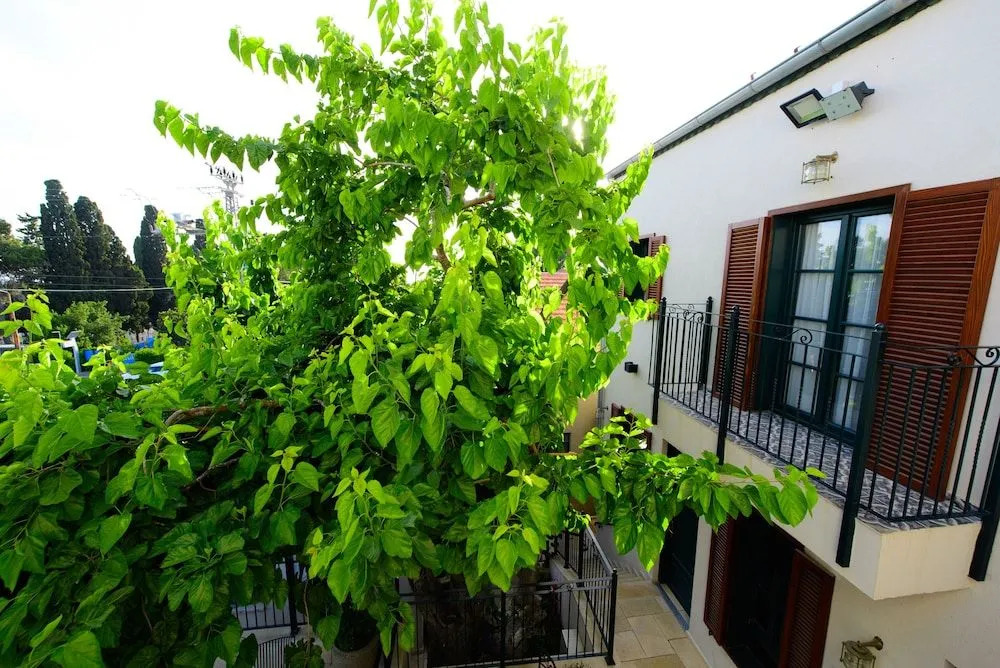 Zamarin Hotel & Spa