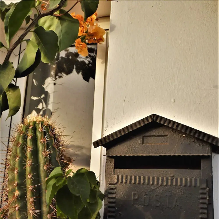 Ancones Lejanos Rooms
