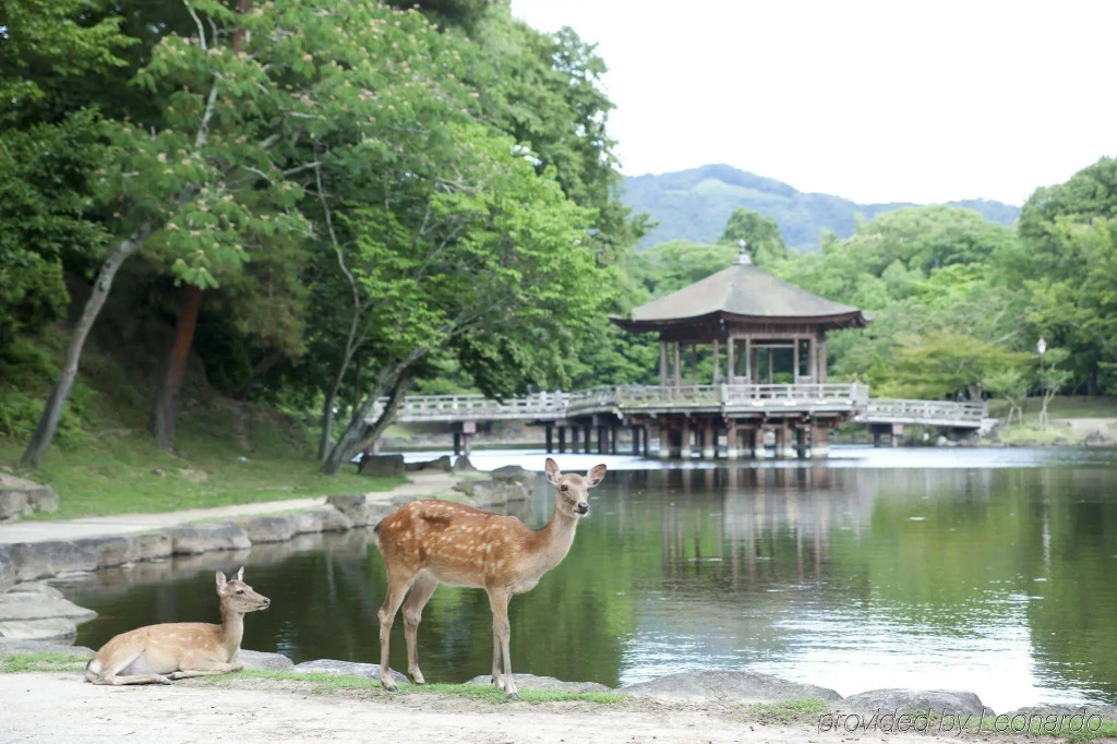 Noborioji Hotel Nara