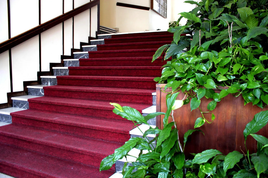 Casa Camilla City