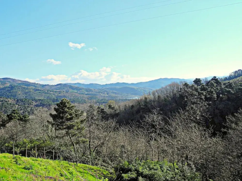 In the Hills Around Lucca, Near a Company That Produces Organic Honey