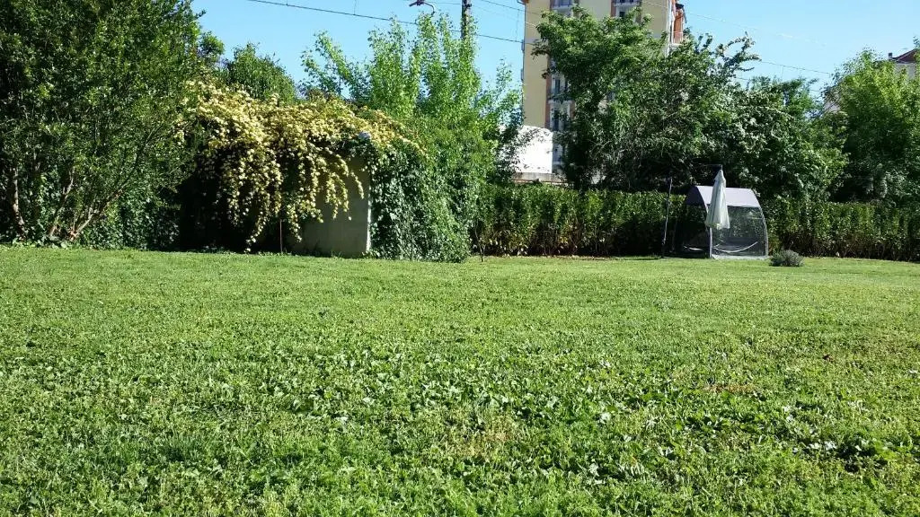 Casa di Sissy con Piscina Privata - Zona Villa Igea
