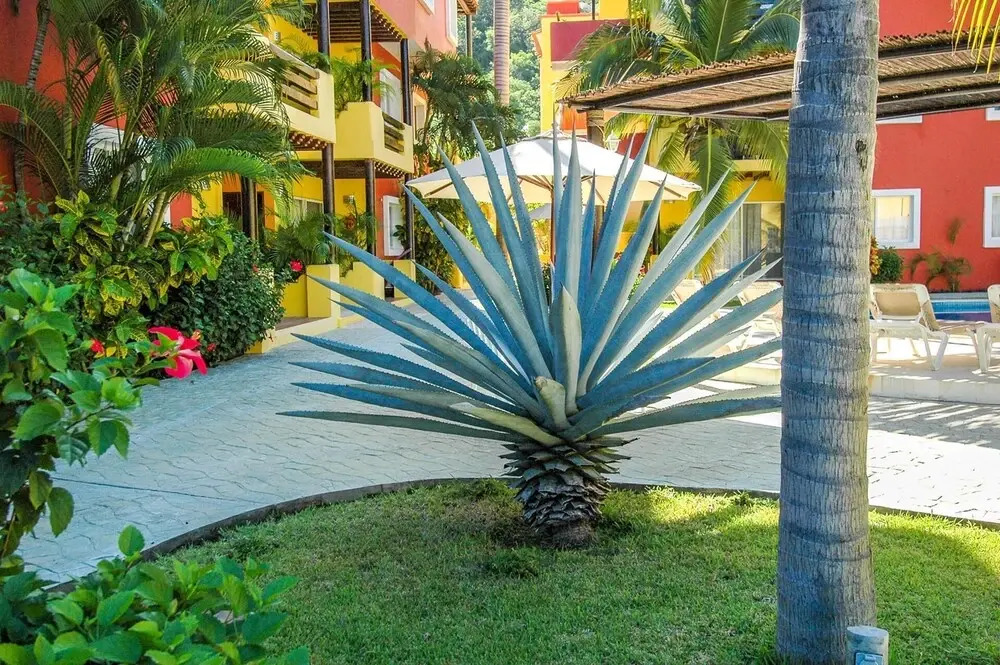 Hacienda Real