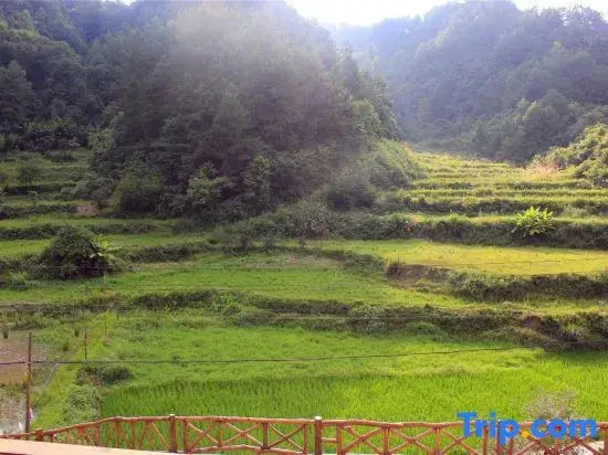 Zhangjiajie Latitude 30 Degree North Farm Stay