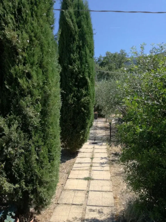 LAgrifoglio di Assisi Residenza di Campagna