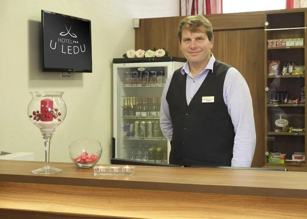 Hotel u Ledu