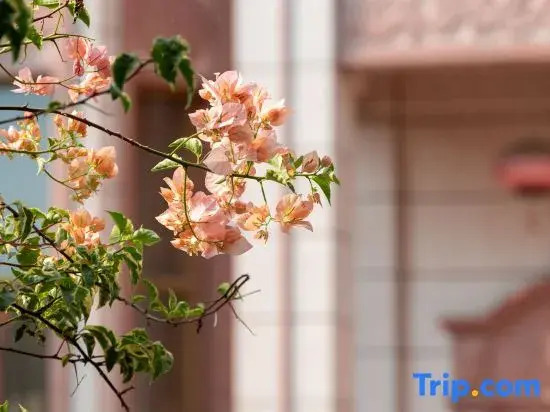 Quanzhou Tongyu Family Homestay (West Street Kaiyuan Temple)
