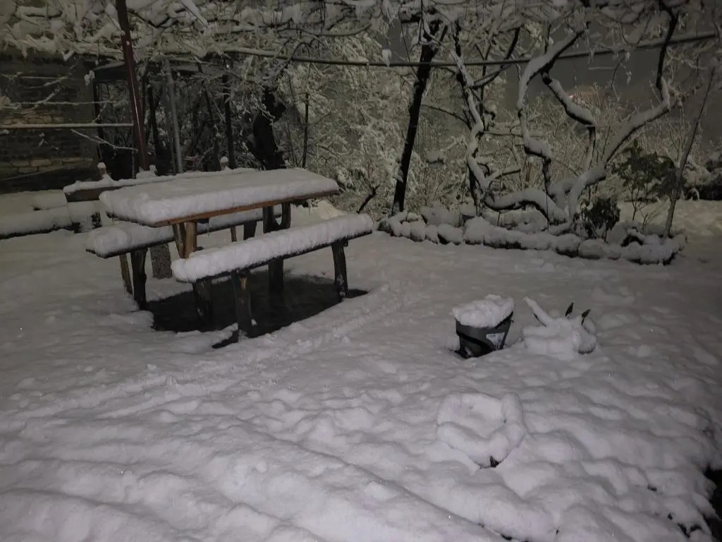 guest house TSVARA