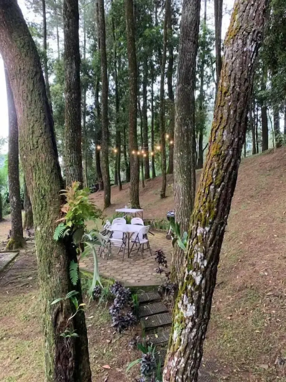 The Pine Forest Villas