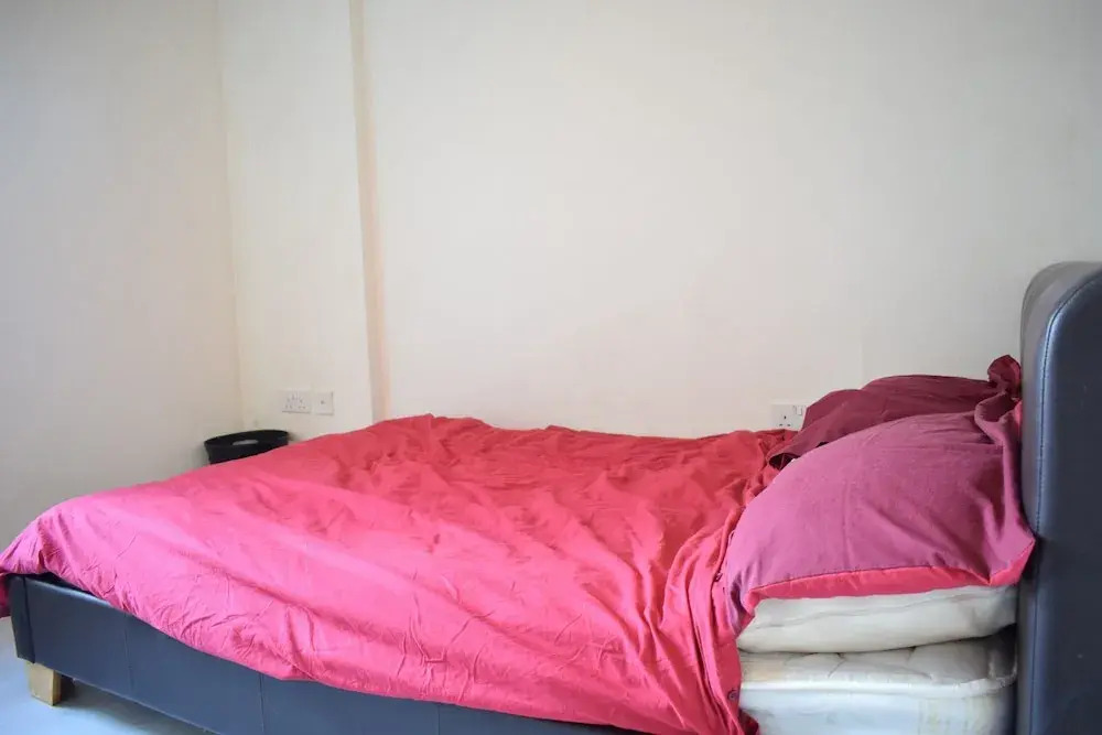 2 Bedroom Flat in North East London Sleeps 6