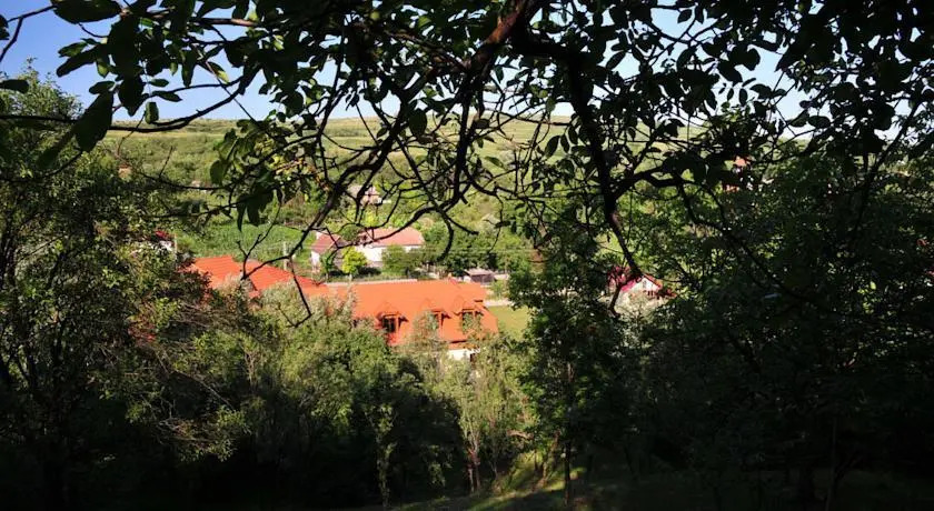 Pensiunea Meander