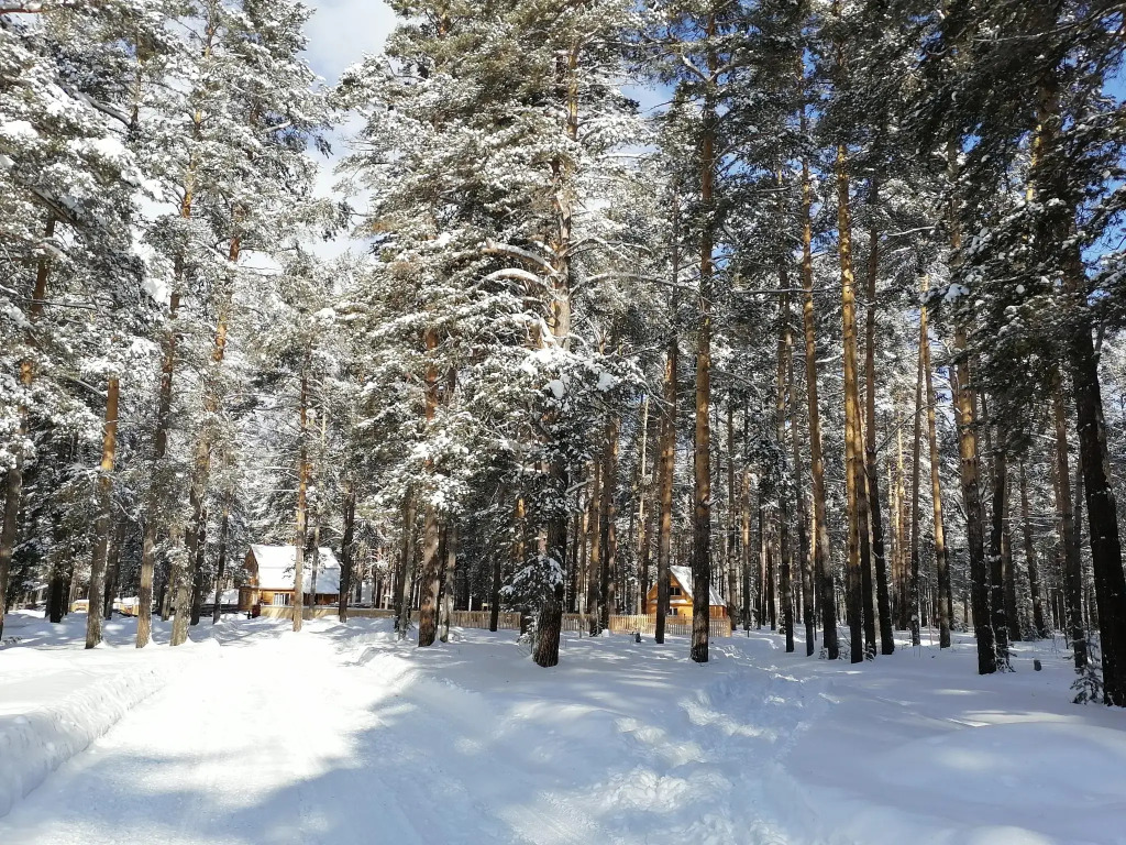Осетровский пруд