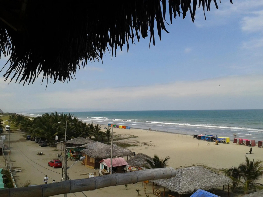 Отель Cocoa Beachfront Inn