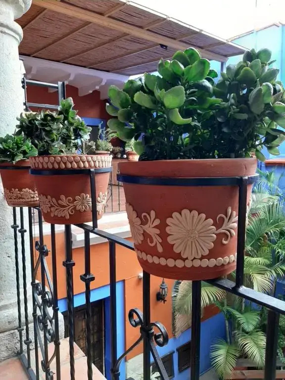 Casa de Siete Balcones Hotel Boutique