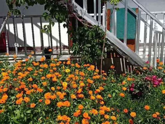 Nalati Honghui Inn