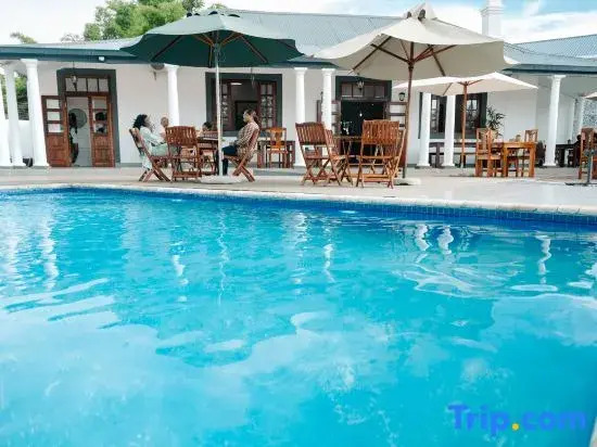 Serene Luxury Hotel