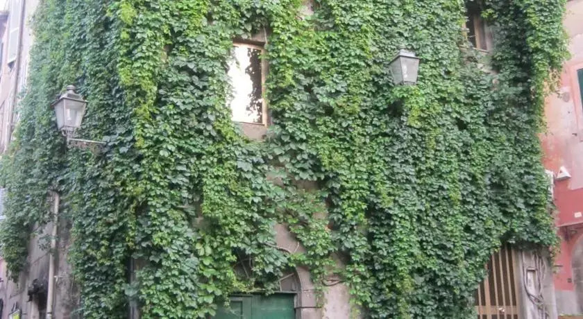 B&B Il Chicco d Uva
