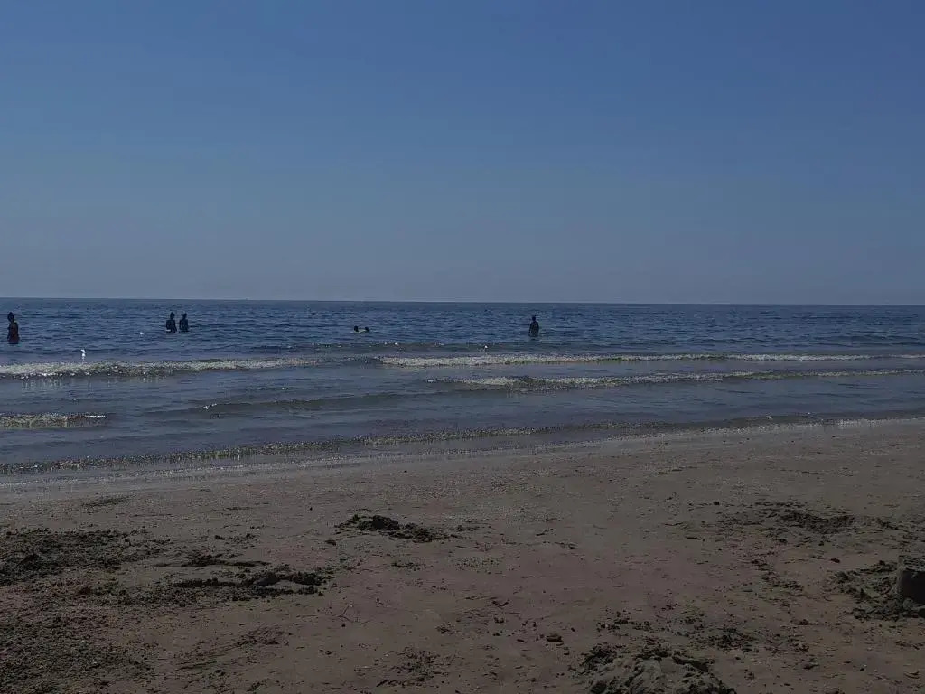 DANI Studio Mamaia Nord