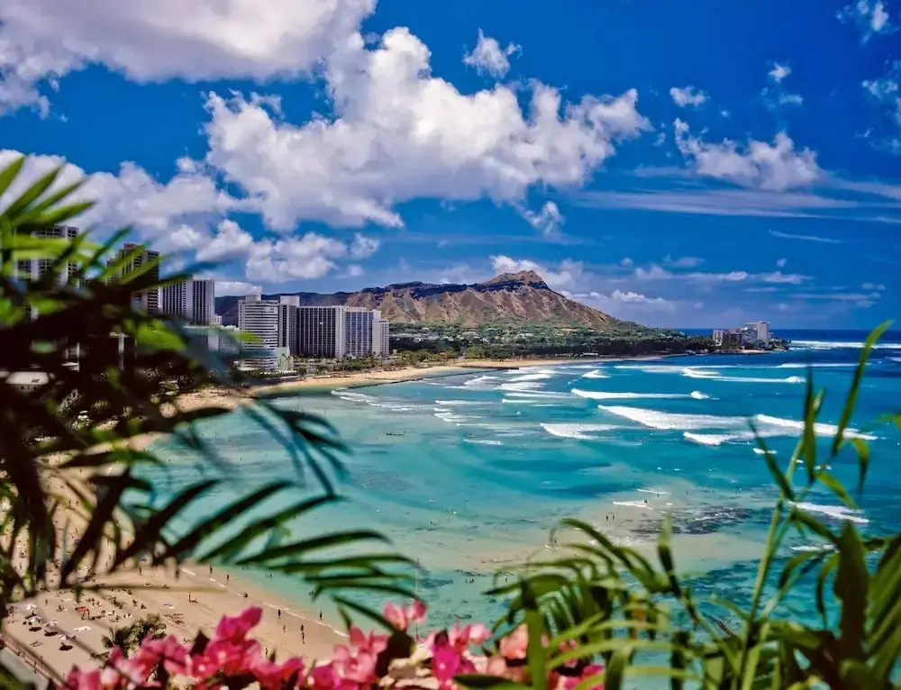 Waikiki Banyan 1BR Condos with No Parking