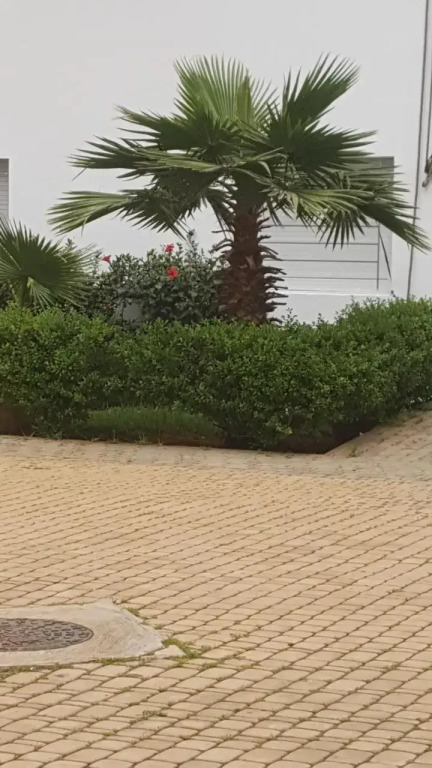Residence les Pins