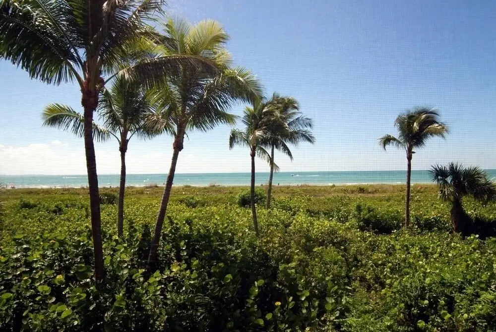 Beachcomber A101 - Gulf Views & Direct Beach Access! 3 Bedroom Condo