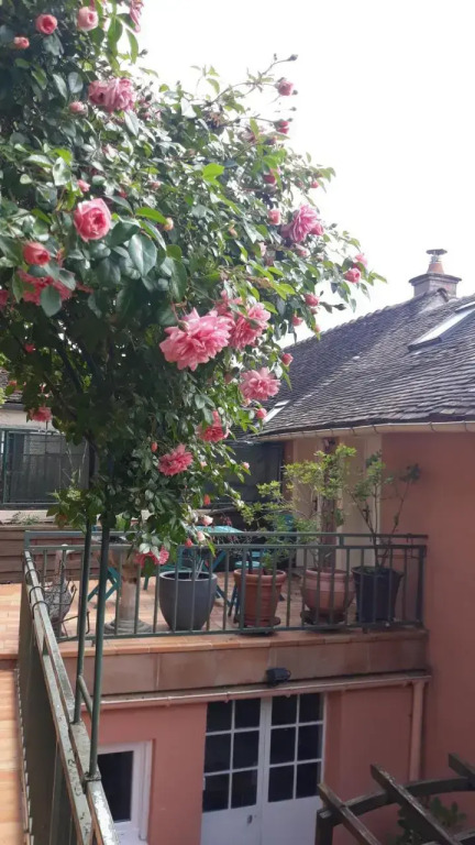 la maison rose: lieu atypique