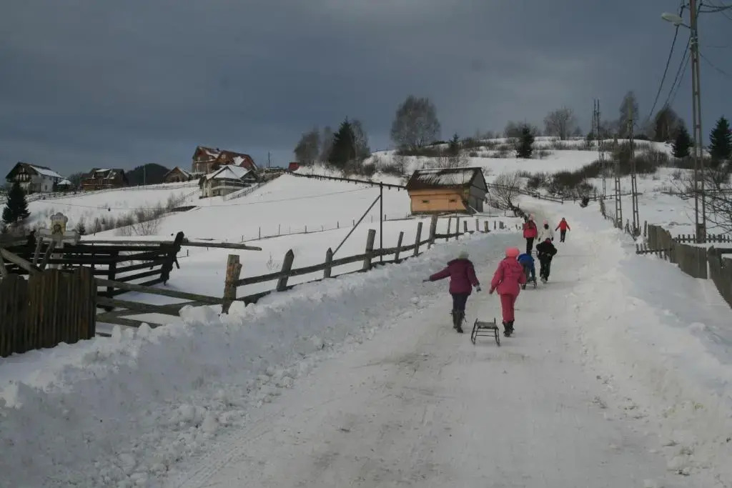 Pensiunea Mama Cozonacilor