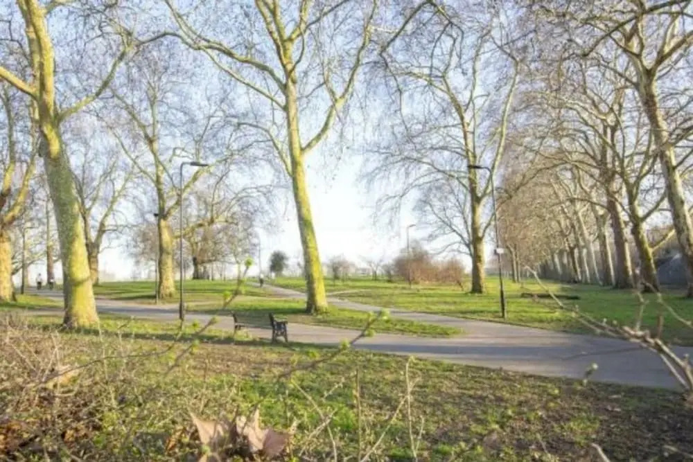 Spacious 3 Bedroom Flat By Hackney Downs