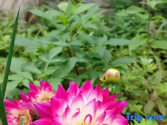 Yiru Homestay (Zhouzuling Yaowangdong Wellness Town Scenic Area)