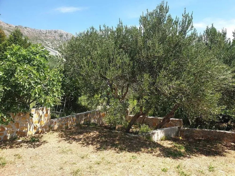 Villa Avoca