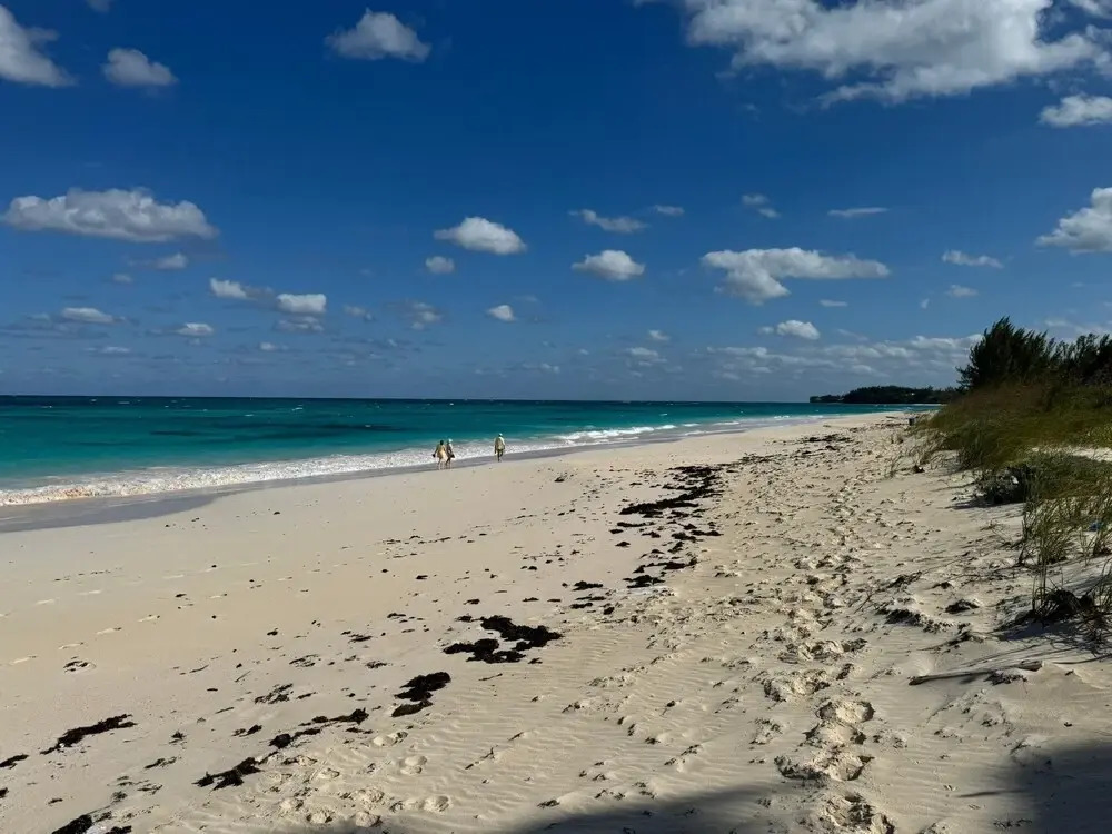 Cricket Beach House-luxurious Beachfront House 5 Bedroom Home
