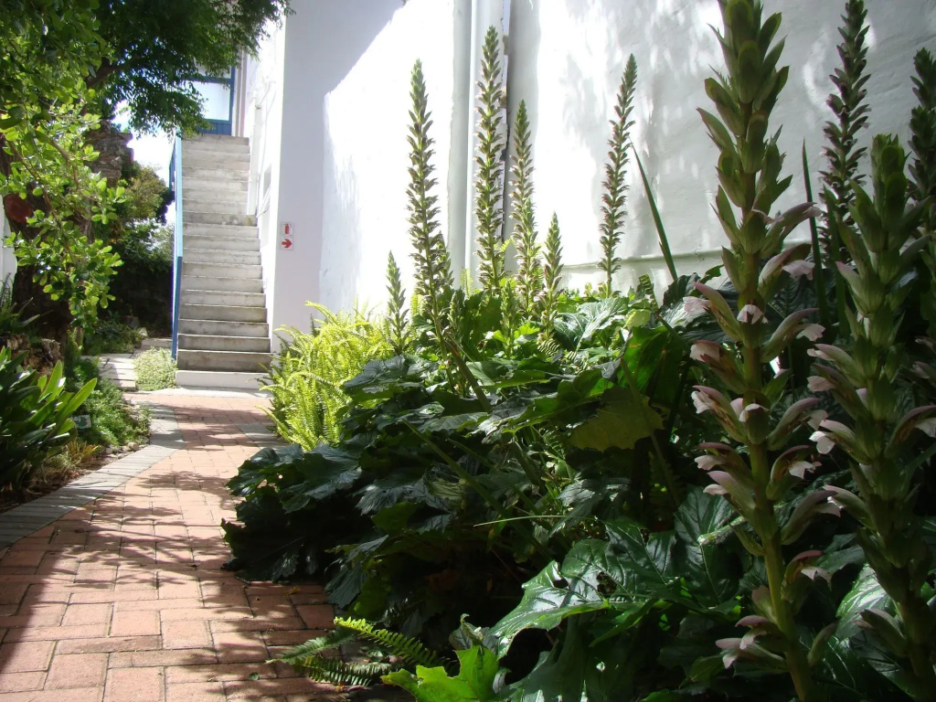 Aqua Marine Guest House