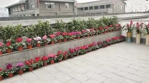 Jiudian Yiku Hotel Pinge Inn