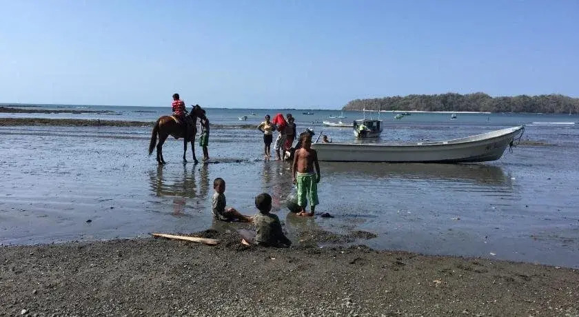 Hotel Las Hamacas