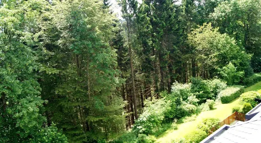 Winterberg Appartement 21048