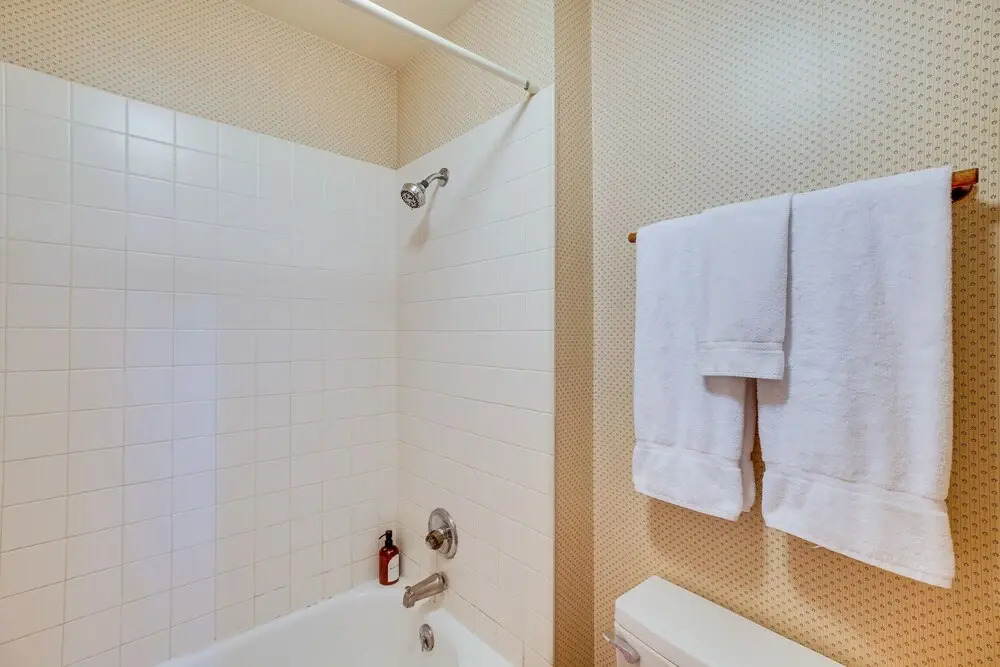 Spacious Ouray Townhome - Walk to Hot Springs!