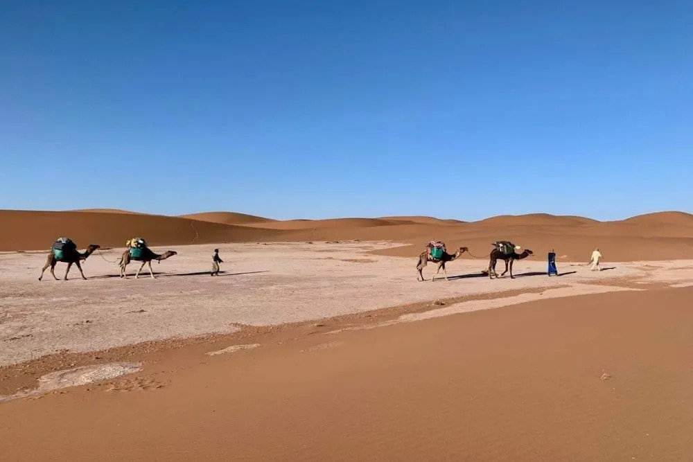 Mhamid Desert Camp Tours