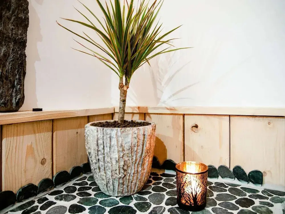 Modern Wellness Stay, Érezée
