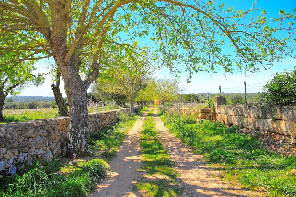Finca Sa Cabaneta 235 by Mallorca Charme