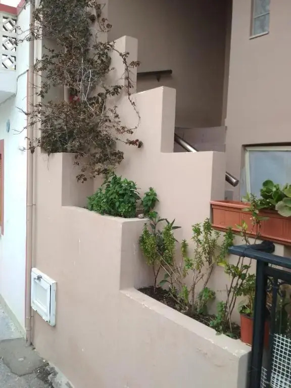 Kate's & Kallia's House