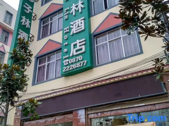 Zhaotong Coconut Forest Hotel