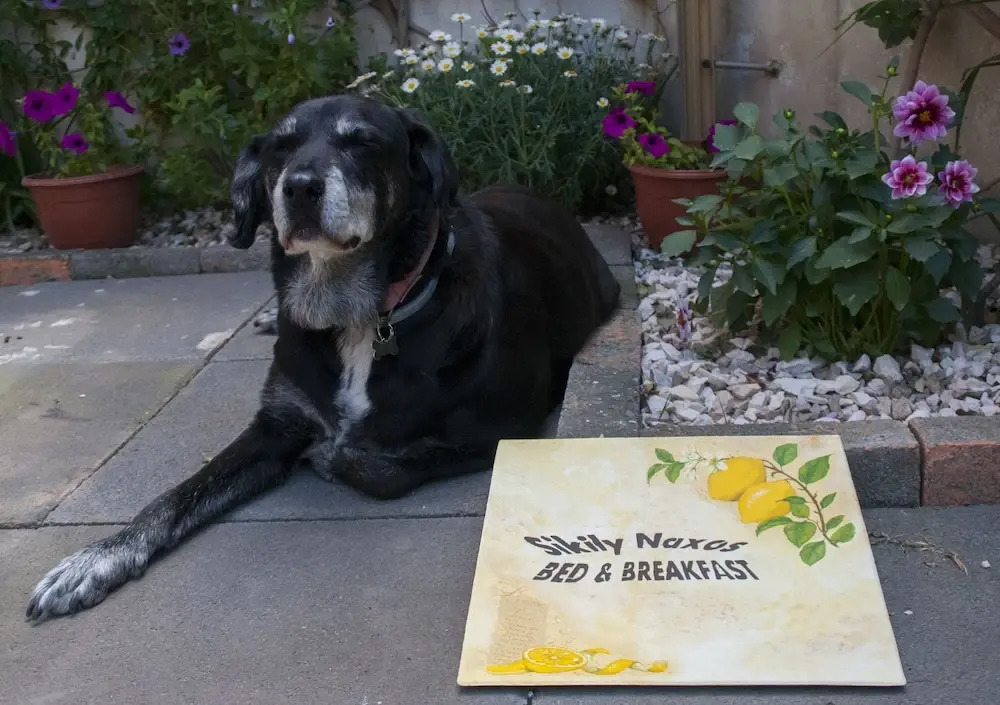 B&B Sikily Naxos