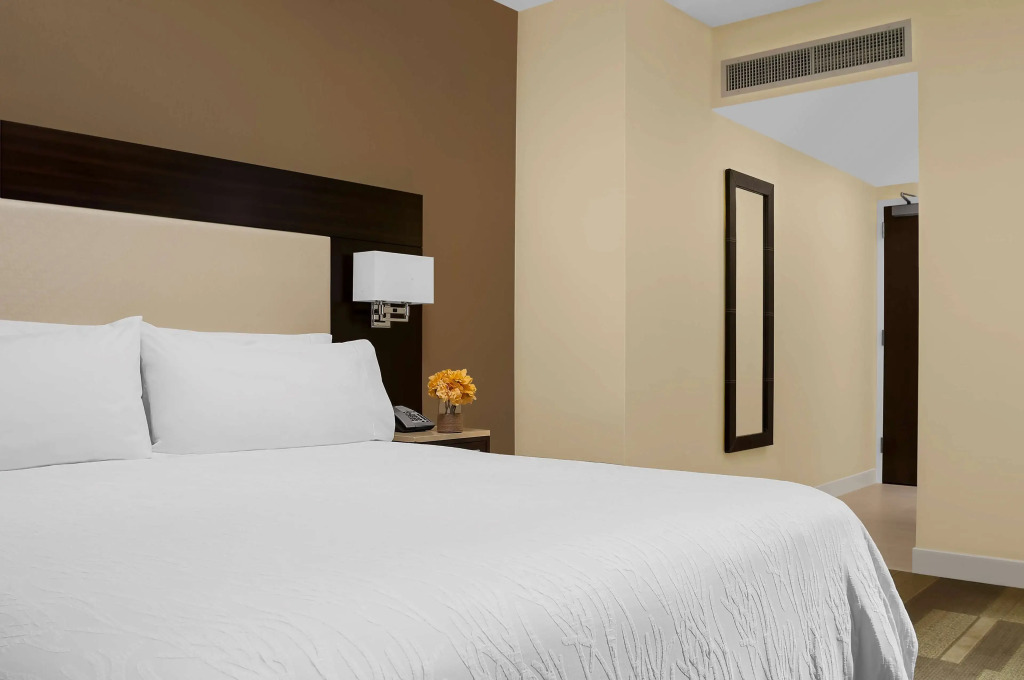 Hilton Garden Inn New York - Times Square Central