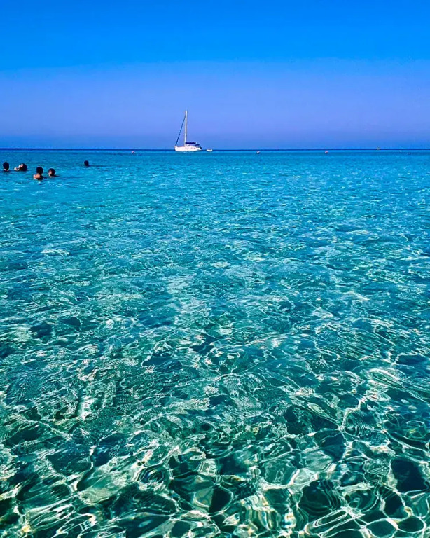 B&B Alto Salento - Pool and Sun